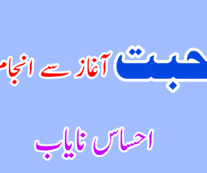 محبت  آغاز سے انجام تک