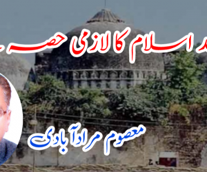 مسجد اسلام کا لازمی حصہ ہے 