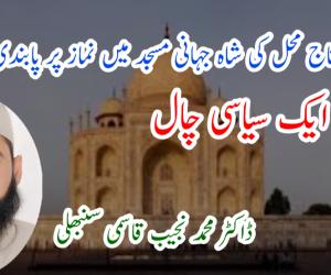 تاج محل کی شاہ جہانی مسجد میں نماز پر پابندی، ایک سیاسی چال