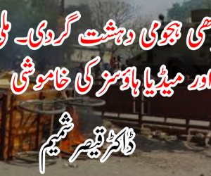 سیتامڑھی ہجومی دہشت گردی۔ ملی رہنما اور میڈیا ہاوسز کی خاموشی