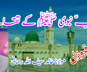 حبّ نبوی ﷺ کے تقاضے