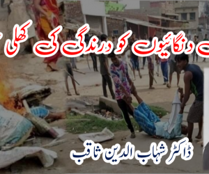 بہار میں دنگائیوں کو درندگی کی کھلی چھوٹ!