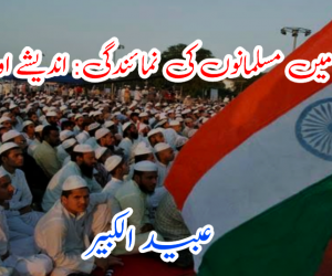 سیاست میں مسلمانوں کی نمائندگی: اندیشے اور امکانات