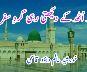 اُٹھ اُٹھ کے دیکھتی رہی گردِ سفر تجھے