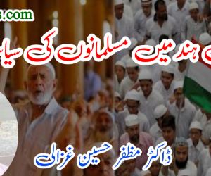 شمالی ہند میں مسلمانوں کی سیاست 