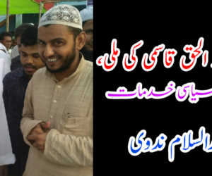 مولانا اسرار الحق قاسمی کی ملی، سماجی اور سیاسی خدمات