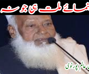 وہ رہنمائے ملت ہی جو نہ رہے