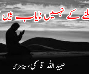 ملنے کے نہیں نایاب ہیں ہم