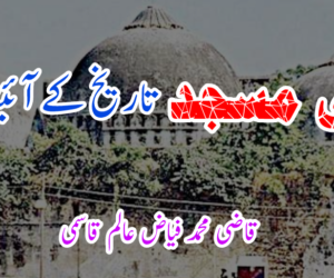 بابری مسجد تاریخ کے آئینہ میں