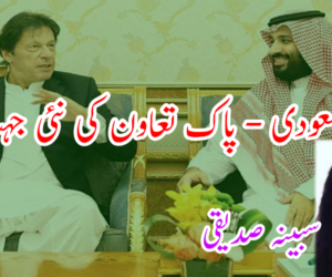 سعودی – پاک تعاون کی نئی جہت