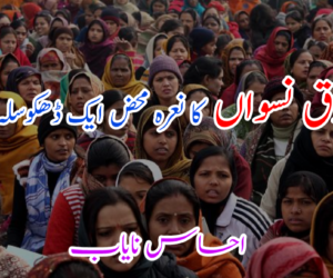 حقوق نسواں کا نعرہ محض ایک ڈھکوسلہ ہے !