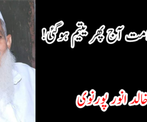 آہ ! یہ امت آج پھر یتیم ہوگئی