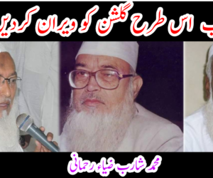 سب اس طرح گلشن کو ویران کردیں گے؟