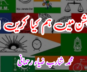 الیکشن میں ہم کیا کریں !؟