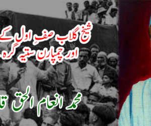 شیخ گلاب صفِ اول کے مجاہد آزادی اور چمپارن ستیہ گرہ کے بانی