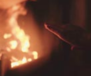 مسلم بہو کو زندہ جلا دیا، شری رام کے اہل خانہ کو منظور نہیں تھا رشتہ