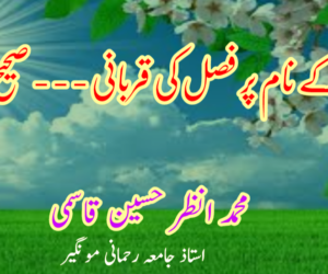 دین کے نام پر فصل کی قربانی ۔۔۔۔۔ صحیح یا غلط؟ 