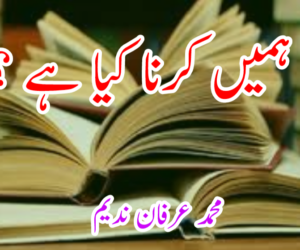 ہمیں کرنا کیا ہے ؟