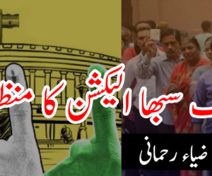 لوک سبھا الیکشن کا منظرنامہ