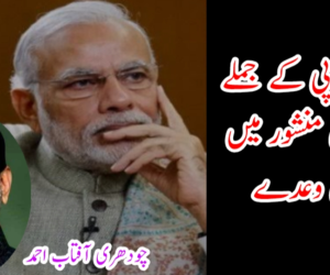 بی جے پی کے جملے اور انتخابی منشور میں گمراہ کن وعدے 