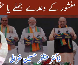 انتخابی منشور کے وعدے جملے یا حقیقت