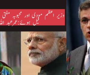 وزیر اعظم مودی اور محبوبہ مفتی چوکیداری میں فیل ہوئے: عمر عبد اللہ
