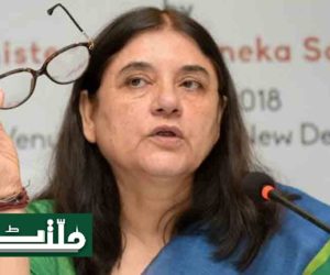 بی جے پی کی امیدوار مینکا گاندھی نے مسلمانوں سے مانگا ووٹ ۔ہماری جیت میں آپ کا تعاون نہیں ہوگا تویہ مجھے اچھا نہیں لگے گا