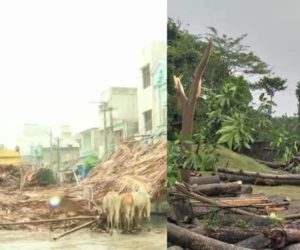اڈیشہ میں 250 کلو میٹر فی گھنٹہ کی رفتار سے ’ فانی ‘ نے مچائی تباہی