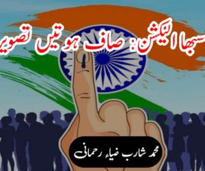 لوک سبھا الیکشن: صاف ہوتیں تصویریں