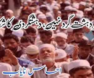 مسلمان دہشت گرد نہیں، دہشتگردی کا شکار ہیں !