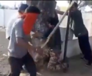 مسلمانوں کے ساتھ دلت اور ہندو بھی ہجومی دہشت گردوں کے نشانے پر ۔ اگر پشت پناہی کا سلسلہ جاری رہا تو خانہ جنگی کی ہوسکتی ہے شروعات !