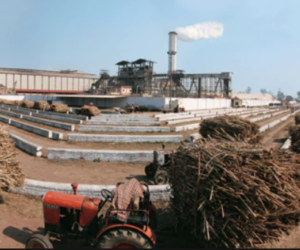 لگژری گاڑیوں میں بیٹھ کرشوگر مل پر چھاپہ مارنے پہنچے 21 سی بی آئی افسر لیکن وہاں موجودتھے کمشنر صاحب!  ن