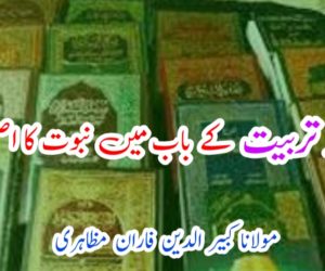 تعلیم و تربیت کے باب میں نبوت کا اصل کارنامہ