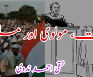 وکالت، مولوی اور مسلمان