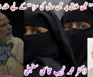 نئے قانون ” تین طلاق پر تین سال کی سزا “ کے لیے علماء ذمہ دار نہیں 