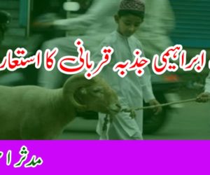 سنتِ ابراہیمی جذبہ قربانی کا استعارہ ہے