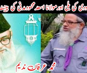 مولانا مودودی کی بلی اور مولانا اسعد محمود مدنی کی پینٹ شرٹ !