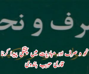 طلبہ کو نحو و صرف اور مبادیات میں پختگی پیدا کرنا چاہیے: قاری حبیب باندوی