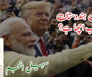 کیا واقعی ہندوستان میں سب اچھا ہے؟