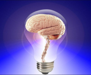 مغربی ممالک کے مقابلے چھوٹا ہوتاہے ہندوستانیوں کے دماغ کا سائز:مطالعہ