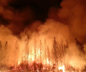 بے قابو آگ کی زد میں امریکی ریاست کیلیفورنیا کے جنگلات