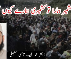 جب کشمیر ہمارا تو کشمیری ہمارے کیوں نہیں؟