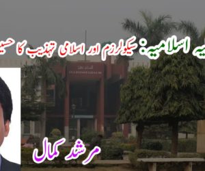 جامعہ ملیہ اسلامیہ: سیکولرزم اور اسلامی تہذیب کا حسین امتزاج