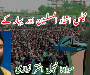 مجلس اتحاد المسلمین اور بہار کے مسلمان