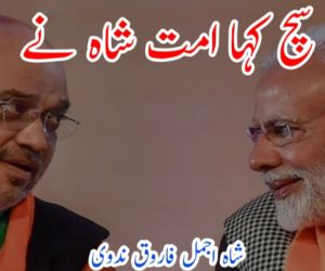 سچ کہا امت شاہ نے