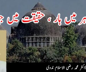 ظاہر میں ہار ، حقیقت میں جیت 