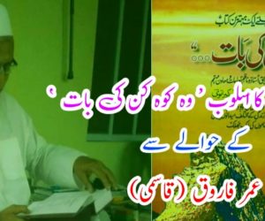 مولانا امینی کا اسلوب ” وہ کوہ کن کی بات “ کے حوالے سے