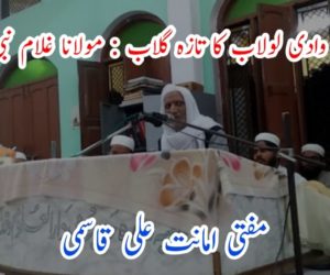 گلستان ِوادی لولاب کا تازہ گلاب :مولانا غلام نبی کشمیریؒ