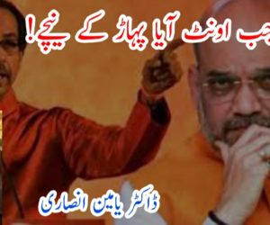 جب اونٹ آیا پہاڑ کے نیچے!