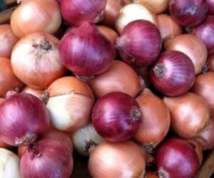 پیاز نے نکالے عوام کے آنسو! 150 روپے کلوگرام کے پار